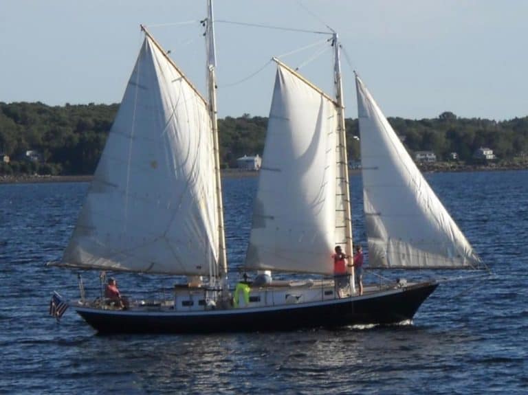 0000 advent sail 2 768x575