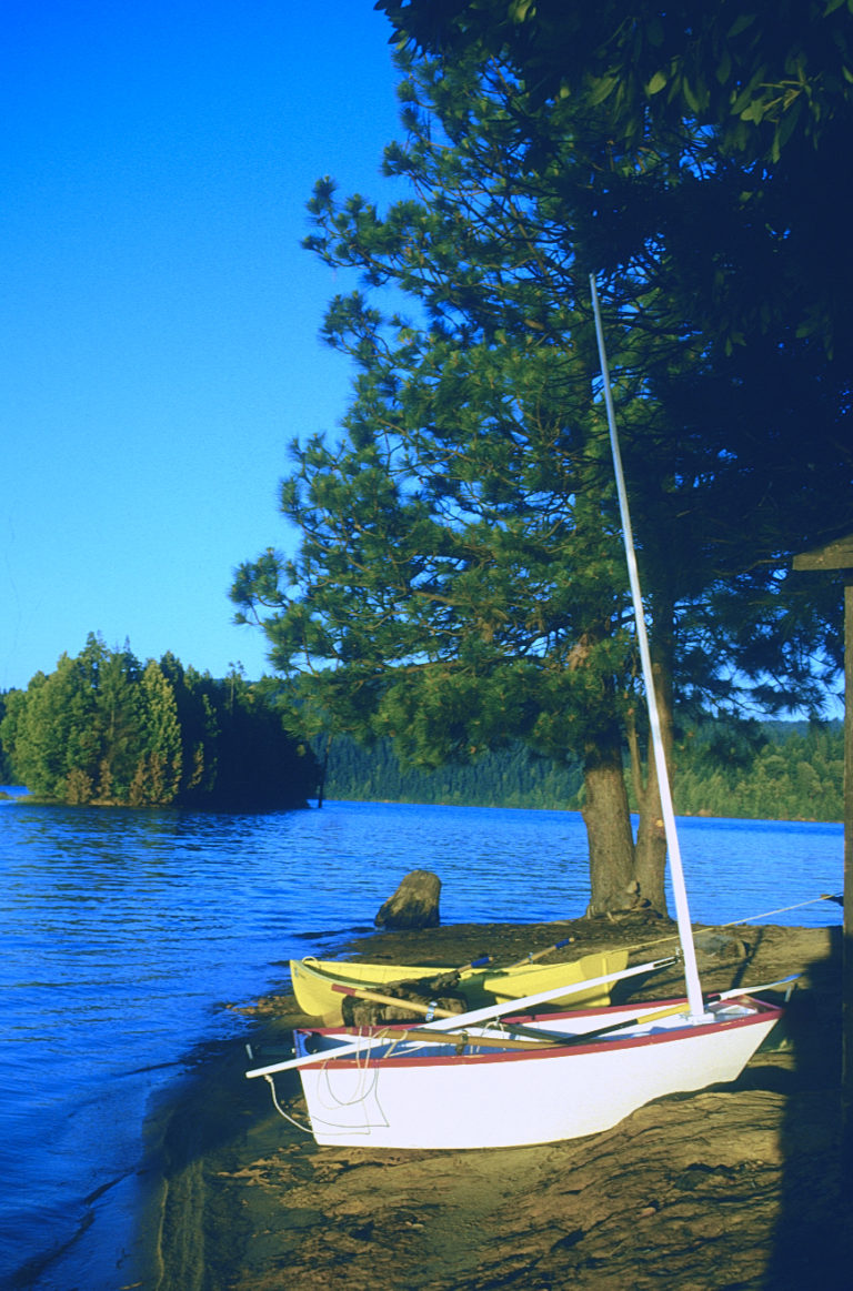 086 Victor Aaen Slide Scansa 1 1 768x1163