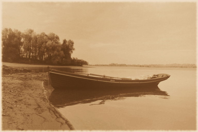 0CAAE442 A8DC 44B4 9F53 6403569559E6 768x512