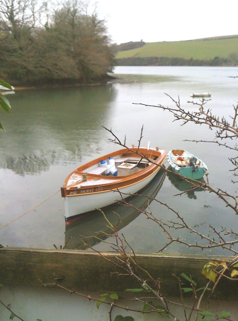 0DE84C3C F3CB 4B2F AEC4 E9852BBD8328 768x1034