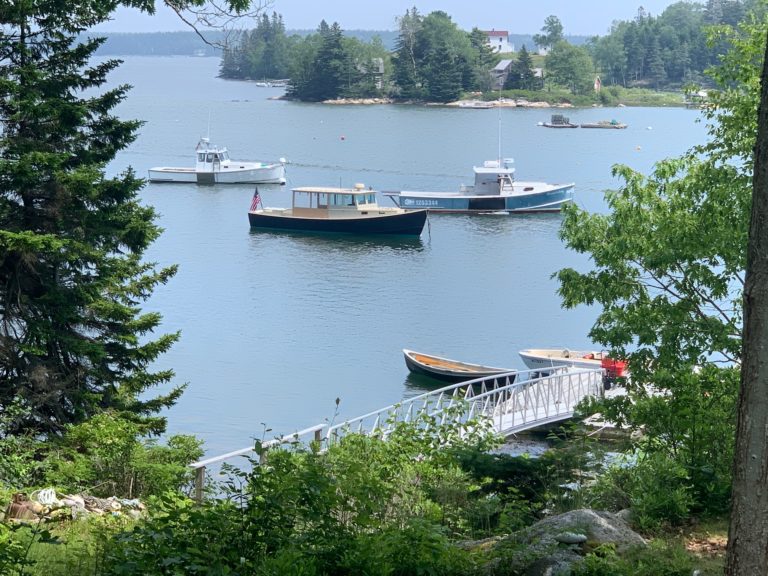 0FF67C93 A73F 44D8 9E9A 7FAEE4BFD2A2photo 768x576