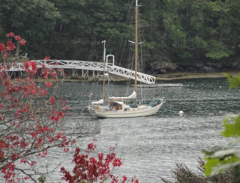 10 Anchored in Linekin Bay 768x584