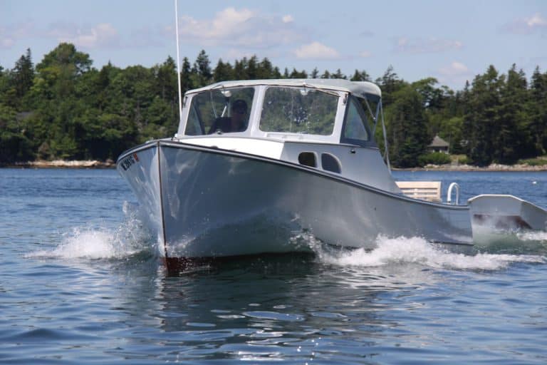 10498620 10204222524629383 2794071966486520064 o 768x512