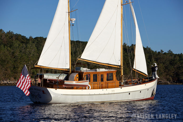 11031 0468 Version 2 1 768x512