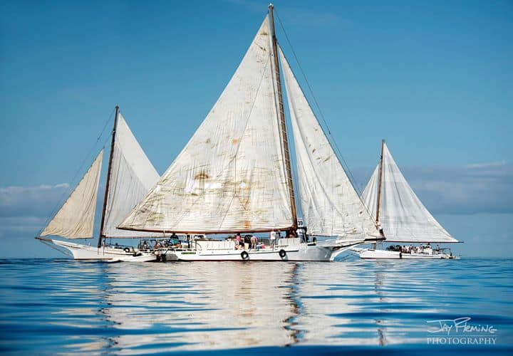 11187368 10153539224056067 6683886622546641344 o