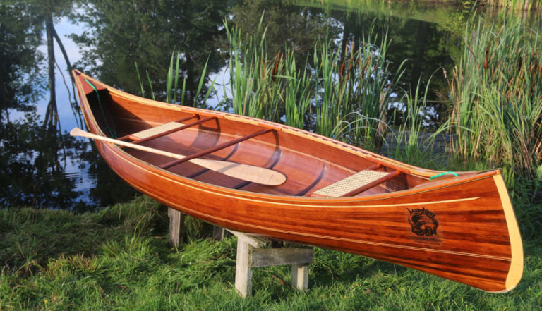 117652282 1735405336627413 6779041368172911702 n 1 768x441