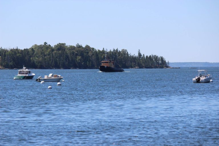 11872254 887334001335910 6224798024995529640 o 768x512