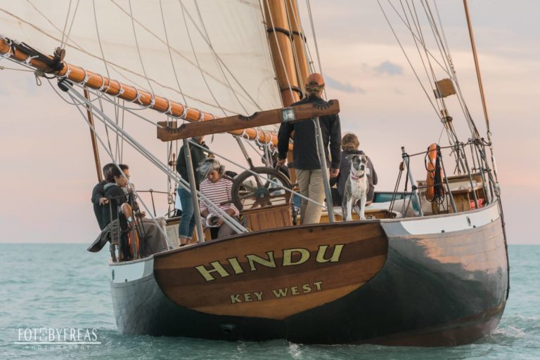 12697207 10156523596050425 1618340178702522349 o 768x513