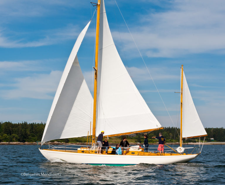 1329506 WWCBS 768x633