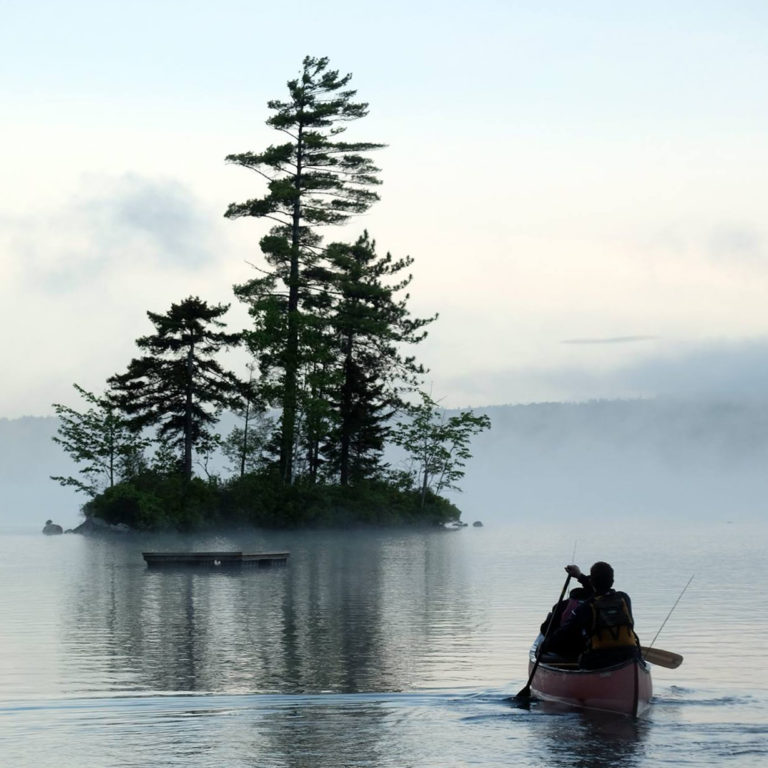 13433174 1061730743904452 8303754432594437249 o 768x768