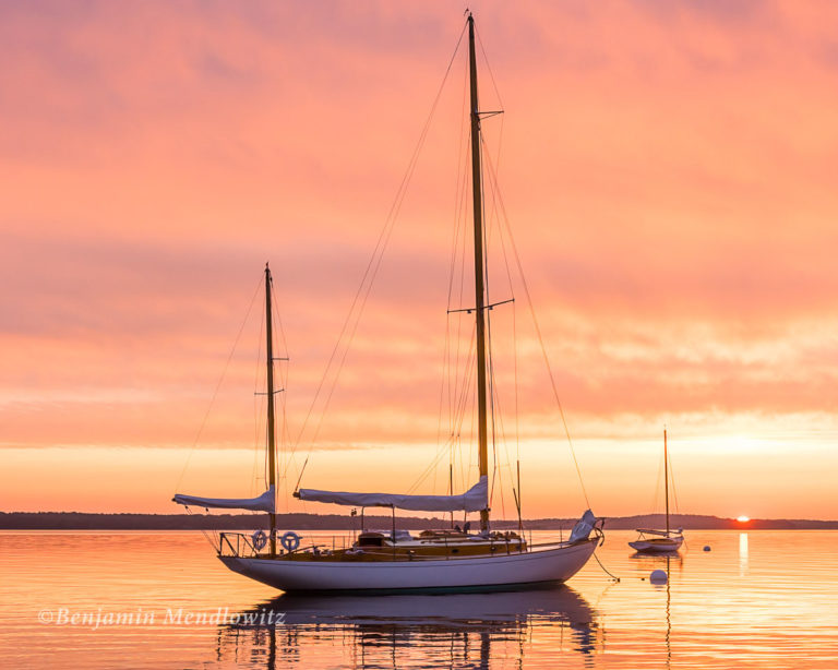 1733144 WWCBS 1 768x614