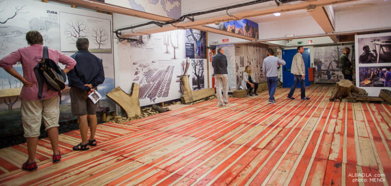 18417054972 cc4b9bfa2d o 768x365