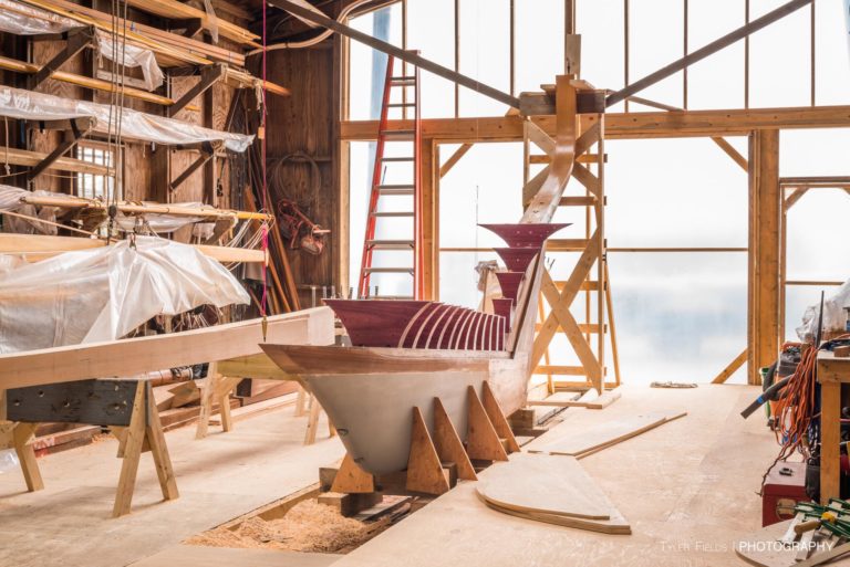 18768618 1377366805643470 7109128518470776543 o 768x513