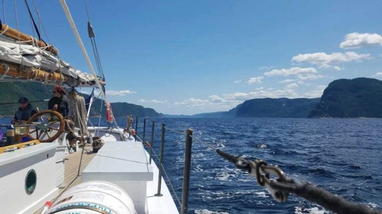 19989594 1466810830043749 8995693346972497958 n 1 768x432