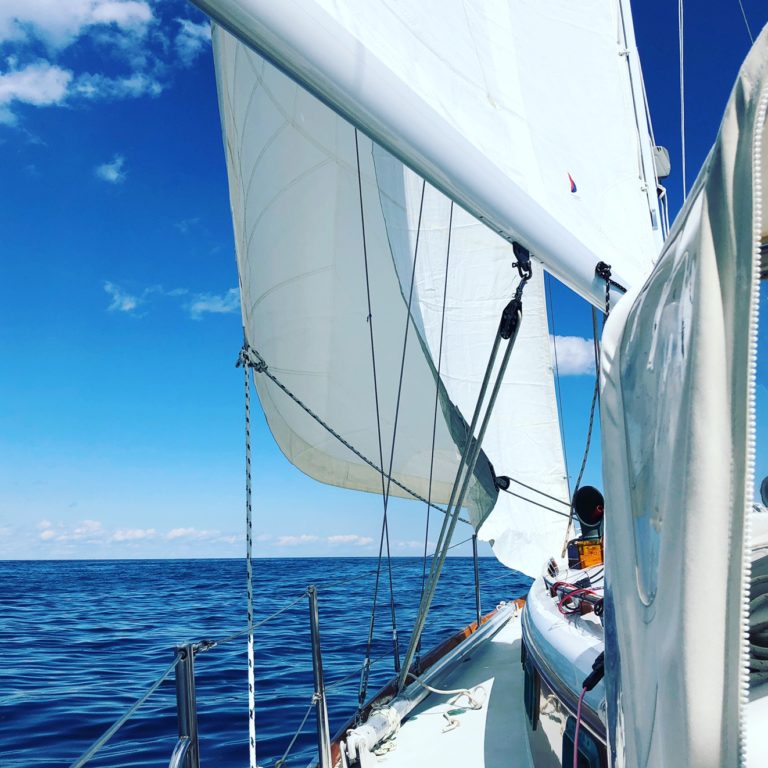 1B4822EE DB2F 41EA 8F59 3E0FB9D9A2C3 768x768