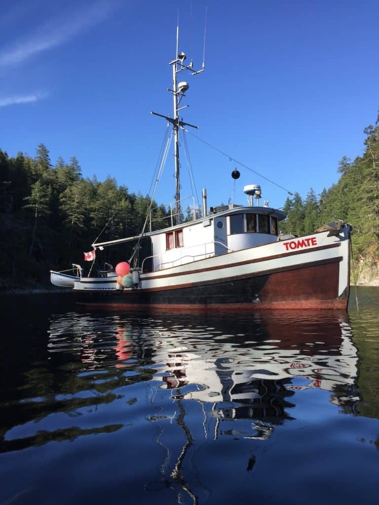 1C54C674 A420 475B BDD1 1B68EA159545 768x1025