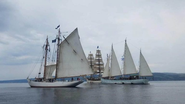 20155667 1469894586402040 171087004062296945 n 1 768x432