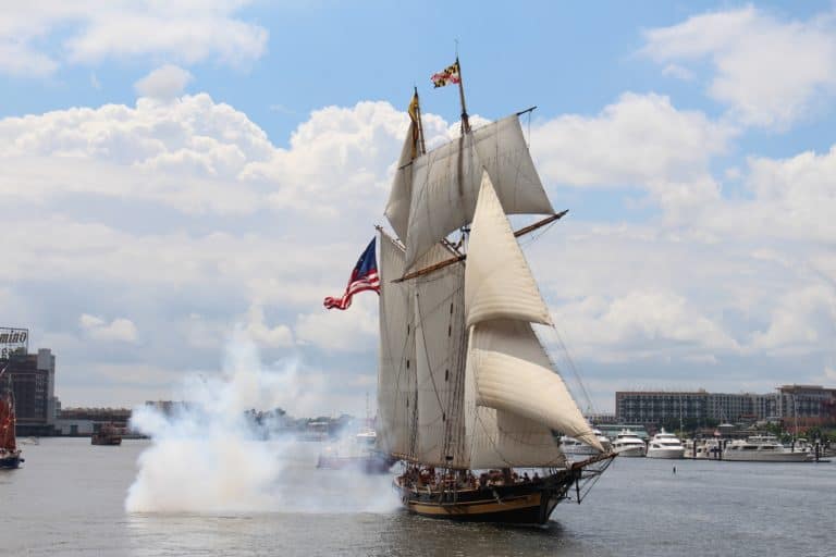 2017Jul1 Homecoming credit Pride of Baltimore 768x512