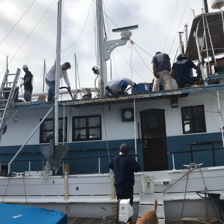 2018 09 26 15.13.53 2 768x768