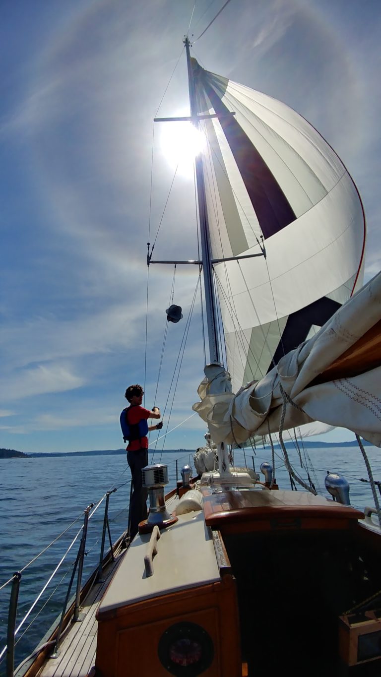 20180708 113946 HDR 768x1365