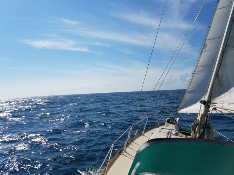 20180904 145717 768x576