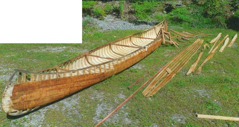 2019 11 07 d 768x411