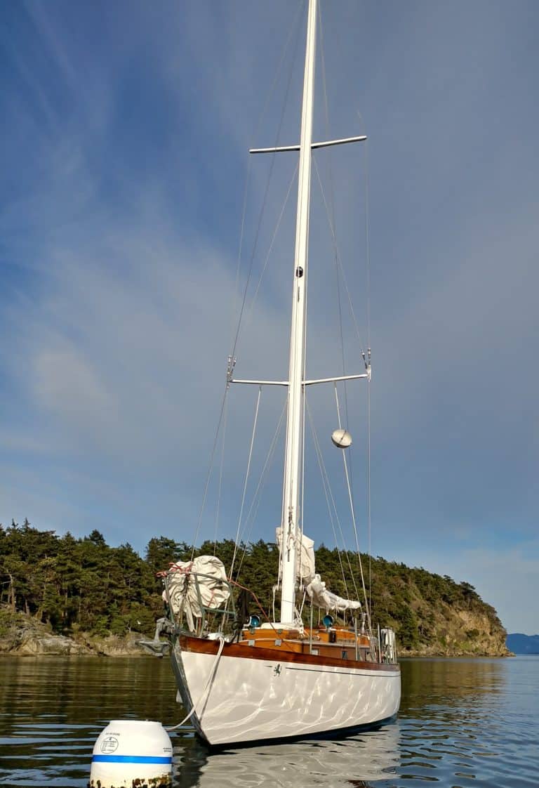 20190504 183803 HDR 768x1122