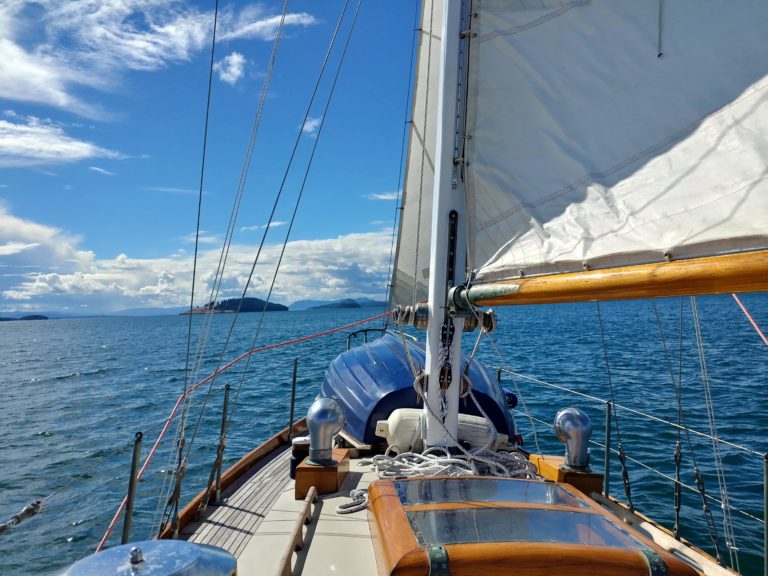 20190607 160929 HDR min 768x576