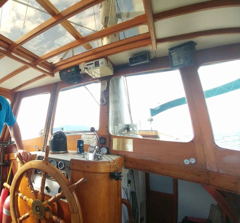 20190824 163216 crop 768x716