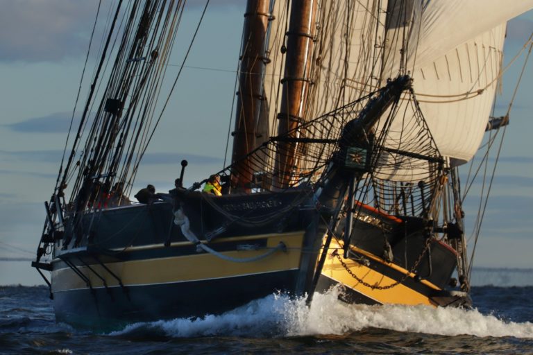 2019Oct18 GCBSR Credit Charlotte Faraci 5 768x512