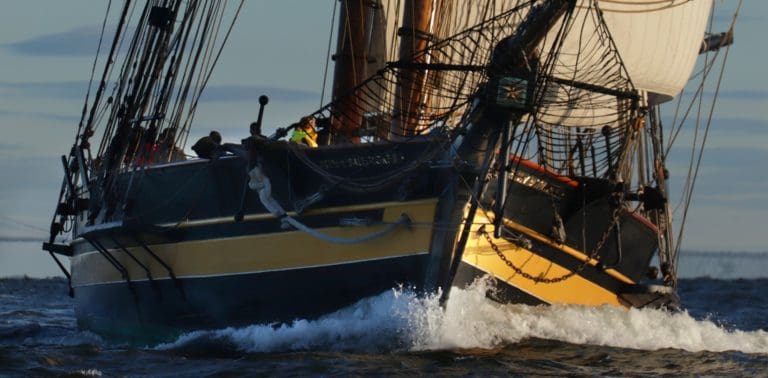 2019Oct18 GCBSR Credit Charlotte Faraci 5NR 768x378