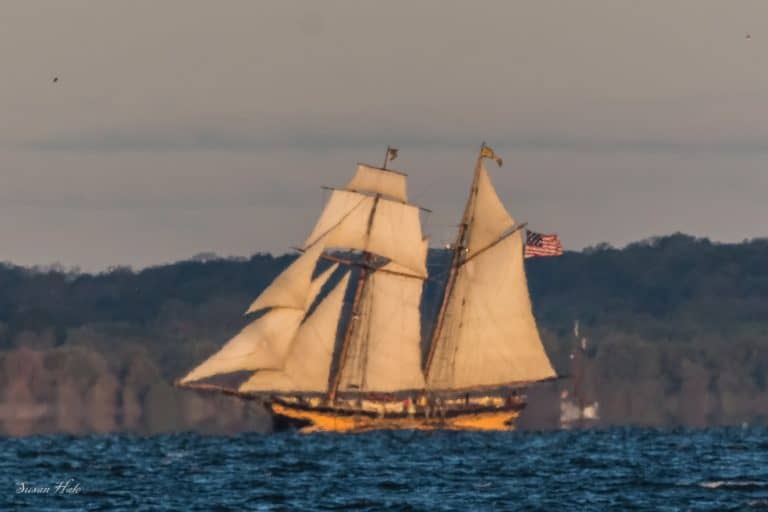 2019Oct18 GCBSR Credit Susan Hale 1 768x512