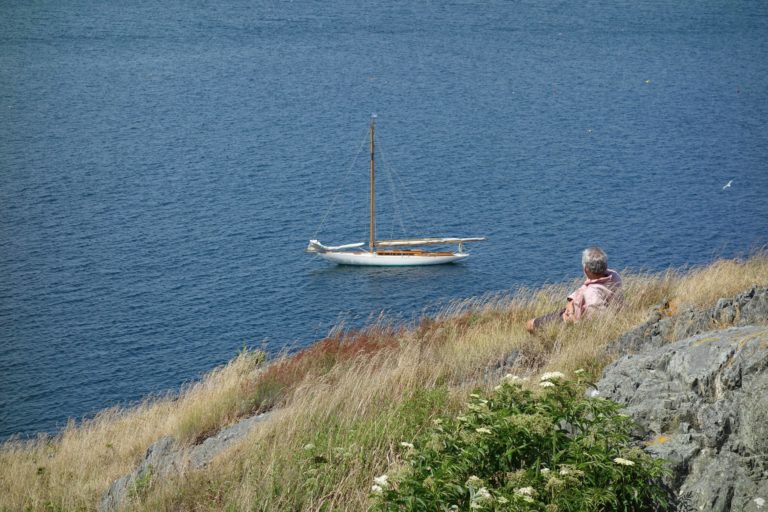 2019 08 11 141156 Alera 768x512