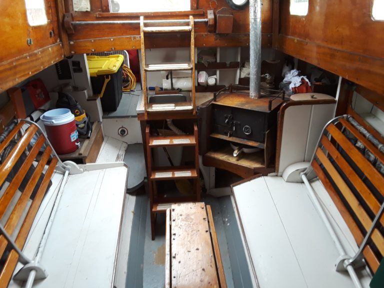 20200802 174839 resized 768x576