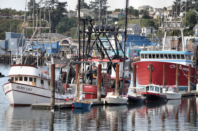 207 CootFleetNewport 768x510