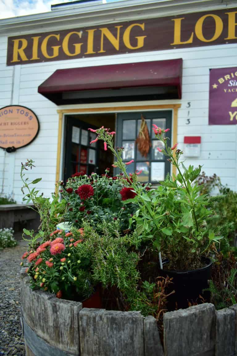 26A7172E 53C3 4330 BCF8 967C5939CC28 768x1152