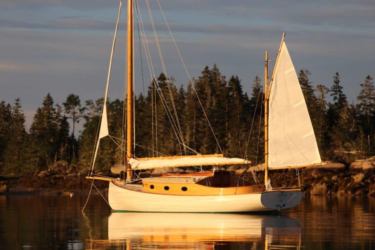 2FC336AD 5073 4AC4 A96B 0FB7835009C7 768x512