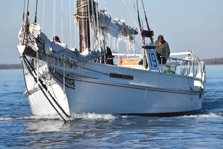 30290003003 df658e0d82 k 768x512