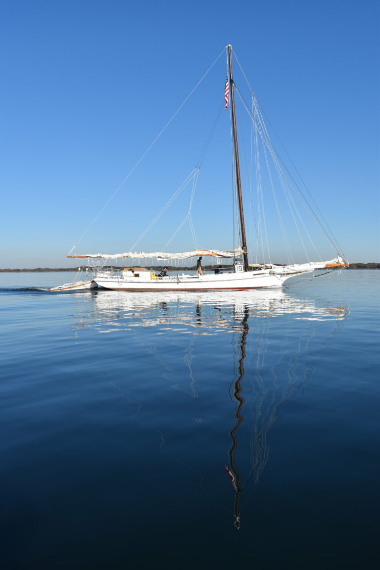 31096851075 c387eab1f0 k 768x1152