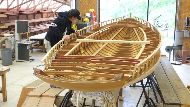 33878830034 75b30581ed k 768x432