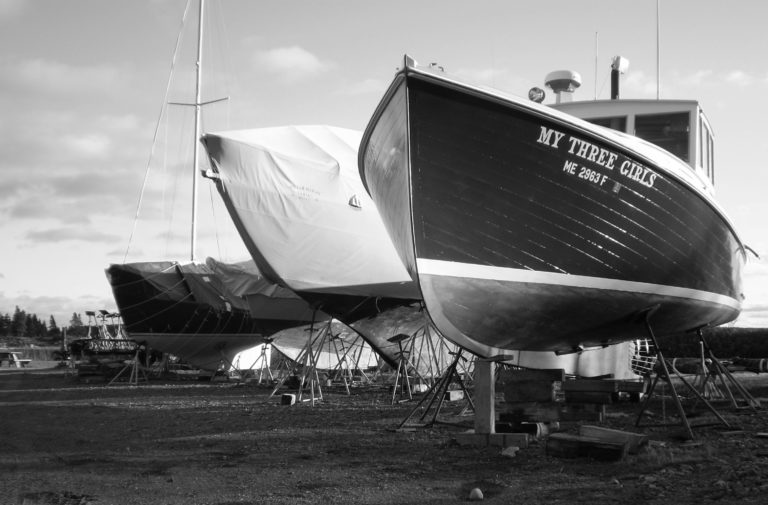 4 29 14 CAMERA DUMP OLD OLYMPUS 100 pp 1 768x505