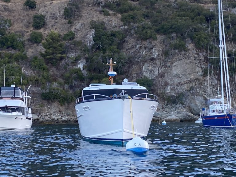 4839FAE7 9C83 4183 8DEA 7444931E2D25 768x576