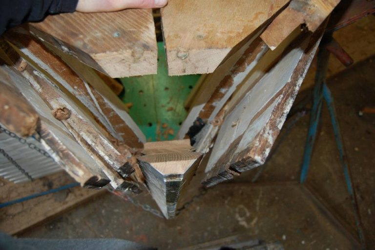 484307 10200778471450206 1555065365 n 768x511