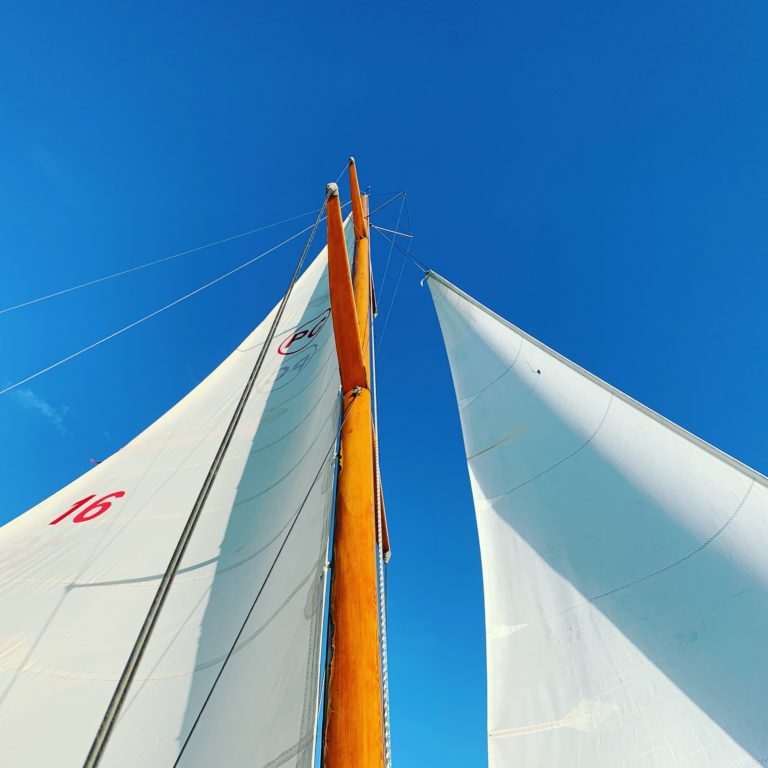 48491400491 03bdbe610a k 768x768