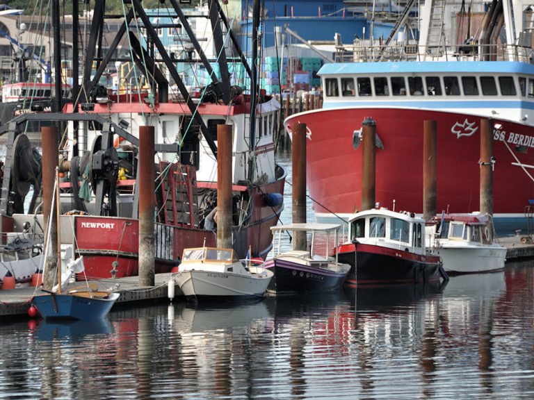 48667602691 33b4616be6 o 768x576