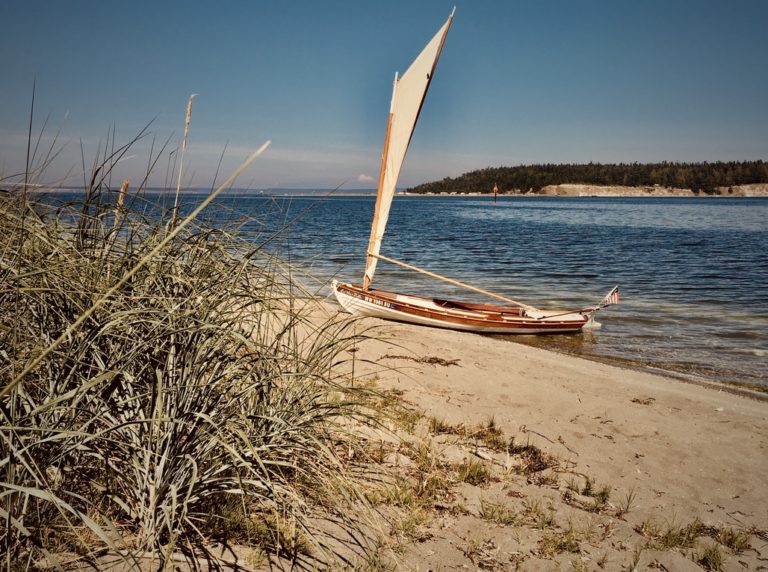 4A3E4D2D FB20 4F5A 8035 E58B477526E5 1 105 c 768x572