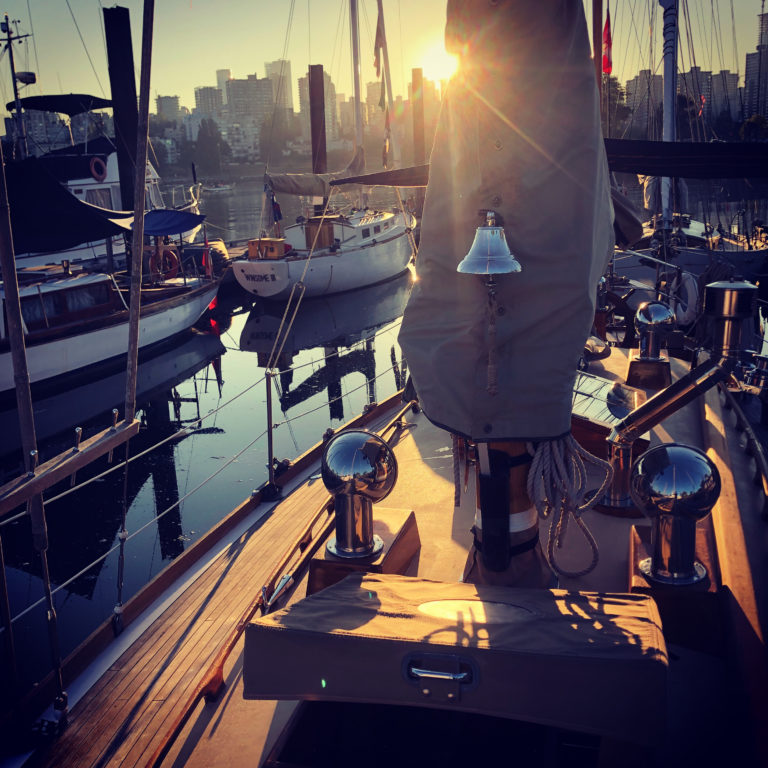 5. Querencia 768x768