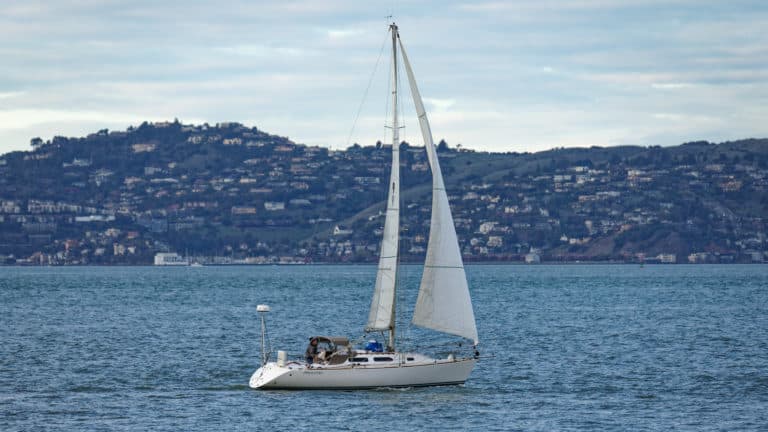 50897201316 83b052ca40 k 768x432