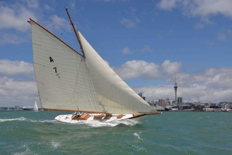 52141364 2287532671259822 8793874297937461248 o 768x512