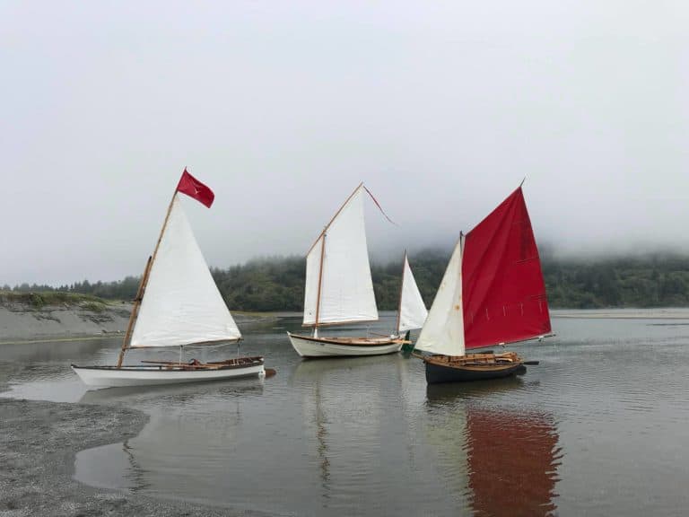 53588506 2408525499171179 6280796681445310464 o 768x576